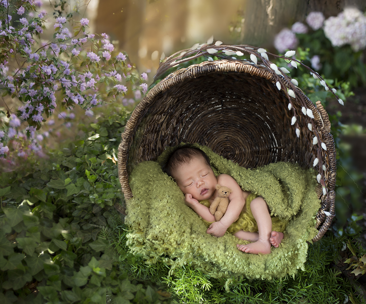 Organic Nature Babies » Willow Baby Photography