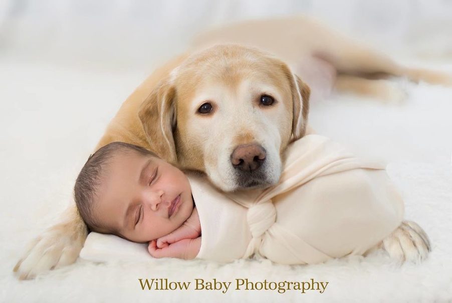 newborn with dog