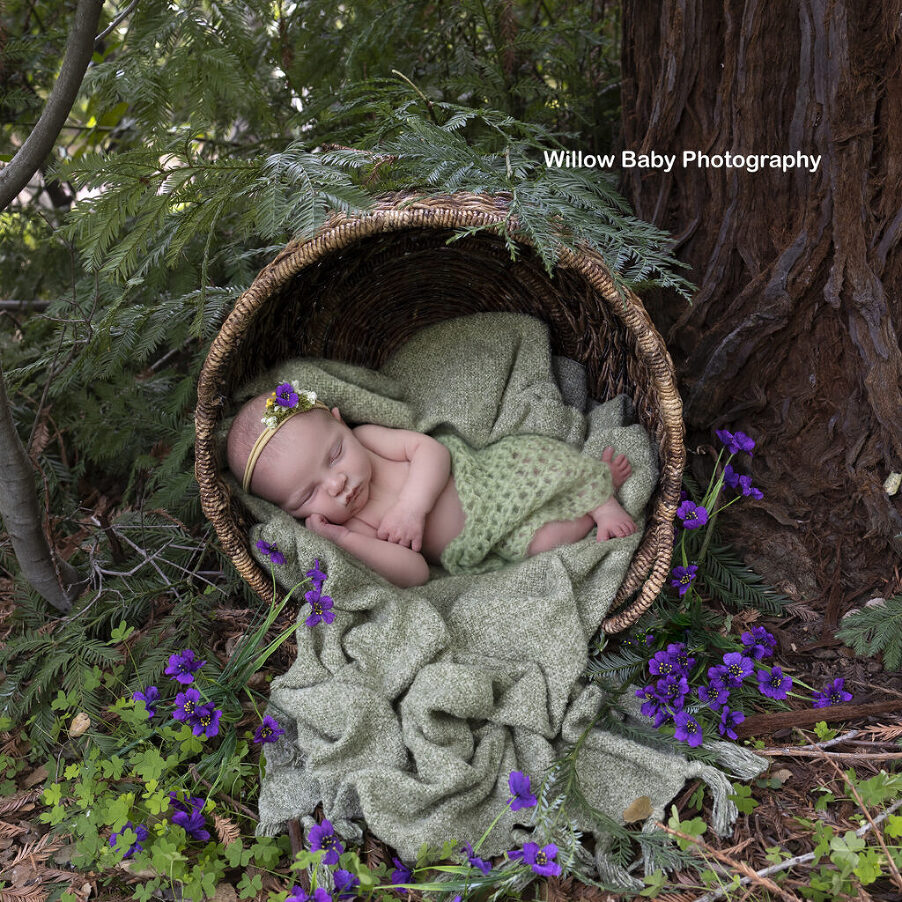 newborn photography baby photos