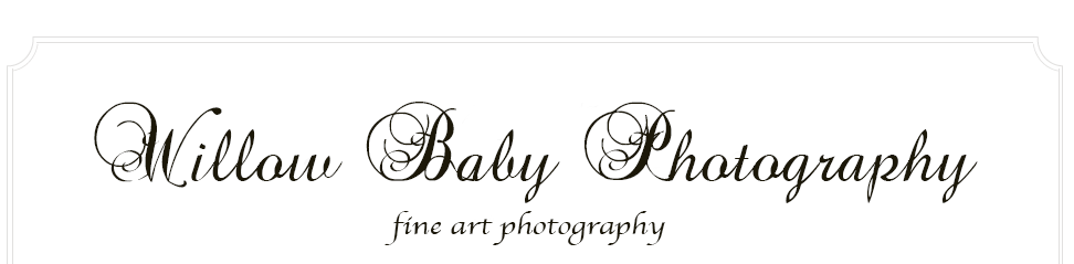 Willow Baby Photography logo